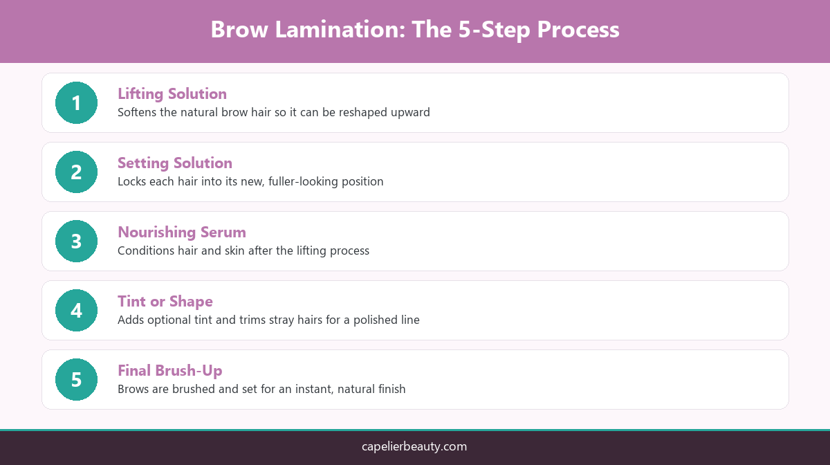 Infographic showing the five step brow lamination process at Capelier